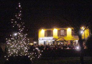 Christmas Tree outside the Plough